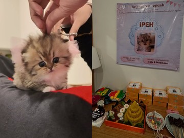 Aqiqah Kreatif: Sate Kambing untuk Kucing!