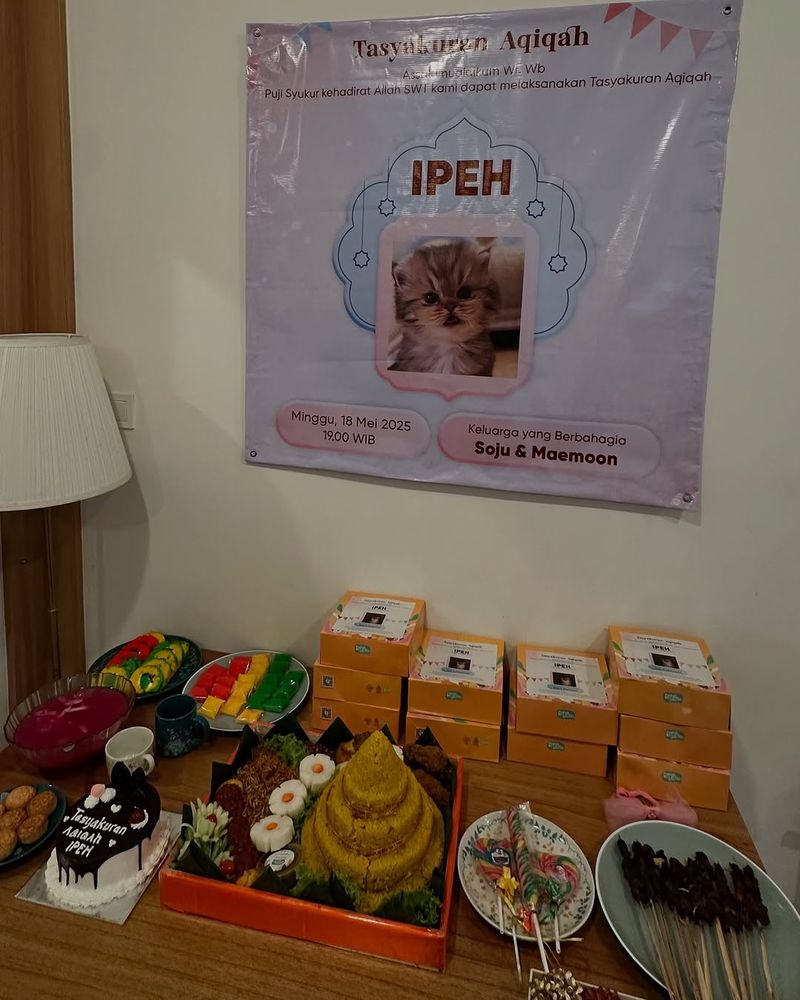 Pria Ini Adakan Aqiqah untuk Kucingnya pakai Sate Kambing