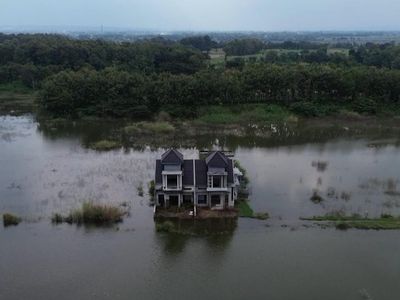 Potret Rumah Mewah Terbengkalai di Tengah Rawa Seluas 4 Lapangan Bola