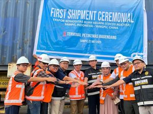 Kelapa Sedang Naik Daun, UMKM Ini Tembus Ekspor Perdana ke China Kelapa Sedang Naik Daun, UMKM Ini Tembus Ekspor Perdana ke China