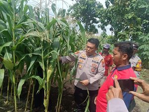 Kapolsek Porong Tinjau Lahan Ketahanan Pangan di Kebonagung Kapolsek Porong Tinjau Lahan Ketahanan Pangan di Kebonagung