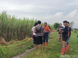 Identitas Wanita Ditemukan Tewas Penuh Luka di Kebun Tebu Brebes