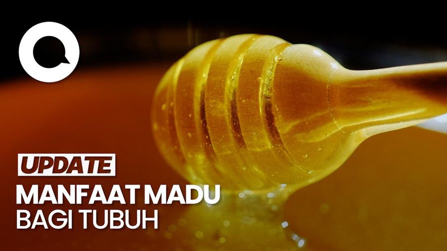 Video: Mengulik Manfaat Madu Jadi Obat Herbal untuk Pengidap Gerd