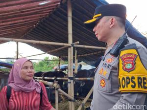 Curhat Pedagang Sapi Kurban Bayar Pungli Rp 22 Juta ke GRIB Jaya