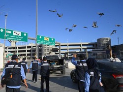 Segini Gaji Petugas Haji 2026, Berminat Daftar?