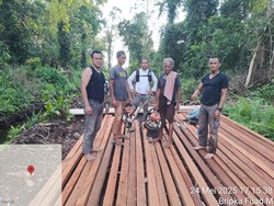 Polisi Bongkar Pembalakan Liar di Hutan Senepis Riau, 2,5 Ton Kayu Disita
