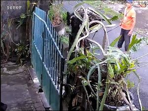 Viral Warga Klungkung Bertahun-tahun Diganggu Tetangga, Diancam Pakai Sabit Viral Warga Klungkung Bertahun-tahun Diganggu Tetangga, Diancam Pakai Sabit