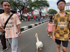 Warga Bawa Soang Sambil Jogging di CFD Depok: Biar Bonding Sama Manusia Warga Bawa Soang Sambil Jogging di CFD Depok: Biar Bonding Sama Manusia