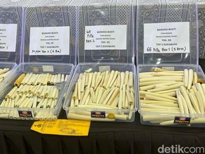 Ukiran hingga Pipa Rokok dari Gading Gajah Rp 24 M Disita Bareskrim Ukiran hingga Pipa Rokok dari Gading Gajah Rp 24 M Disita Bareskrim