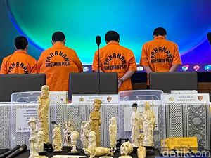 Polisi: Tersangka Jual Pipa Rokok Gading Gajah Lewat TikTok dan Facebook Polisi: Tersangka Jual Pipa Rokok Gading Gajah Lewat TikTok dan Facebook