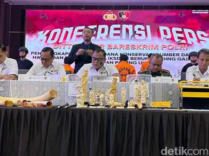 4 Fakta Pipa Rokok hingga Ukiran Gading Gajah Rp 2,3 M Dibongkar 4 Fakta Pipa Rokok hingga Ukiran Gading Gajah Rp 2,3 M Dibongkar