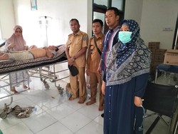 2 Warga OKI Luka-luka Usai Diserang Gajah