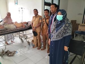2 Warga OKI Diserang Gajah, BKSDA Sumsel Bakal Bangun Posko Pagarapat 2 Warga OKI Diserang Gajah, BKSDA Sumsel Bakal Bangun Posko Pagarapat