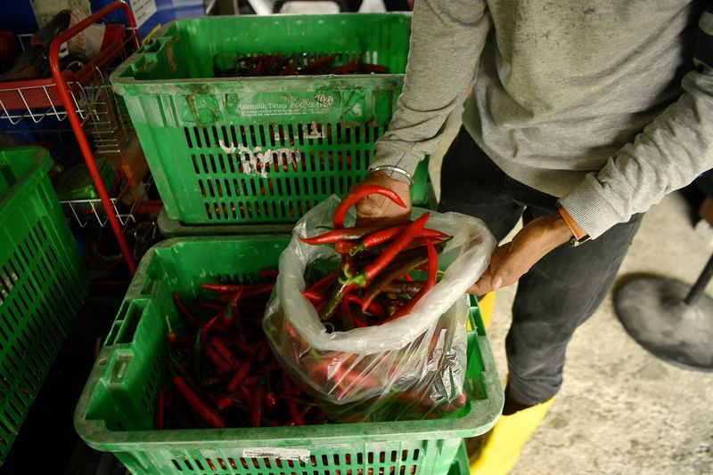 Jadi Petani Cabai, Mantan Insinyur Raup Rp 193 Juta Tiap Musim Tanam