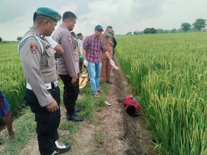 Petani Gresik Tewas Tersetrum Jebakan Tikus di Sawah Kepala Dusun Petani Gresik Tewas Tersetrum Jebakan Tikus di Sawah Kepala Dusun