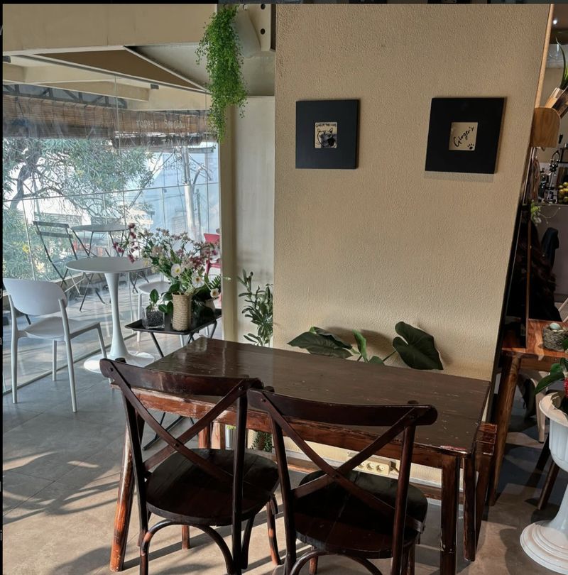 Kafe homey