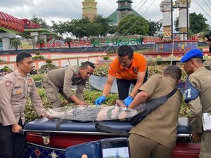 Mayat Bocah Ditemukan di Kolam Tugu Lungsir Bandar Lampung Mayat Bocah Ditemukan di Kolam Tugu Lungsir Bandar Lampung