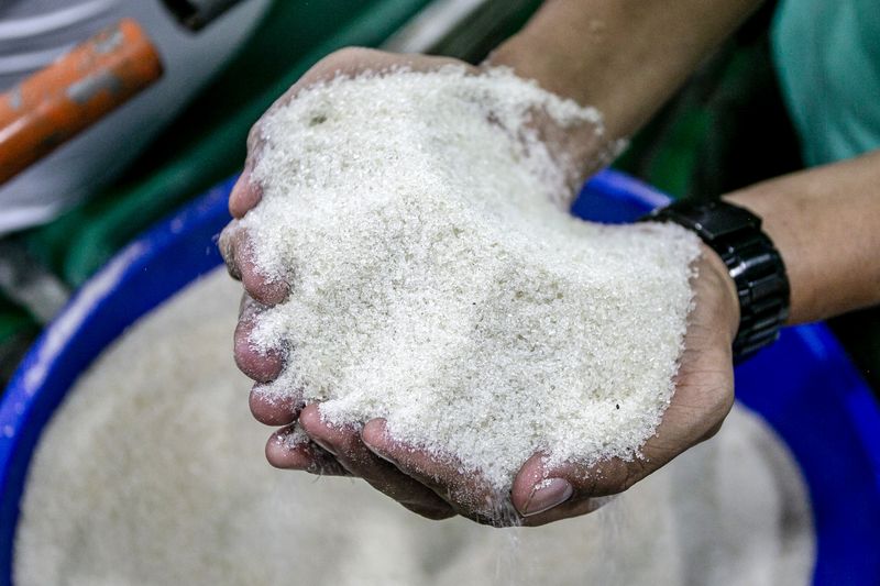 Karyawan membawa anaknya memasuki pabrik usai kirab temanten tebu saat tradisi Cembrengan atau menyambut musim giling tebu di Pabrik Gula (PG) Mojo, Sragen, Jawa Tengah, Sabtu (19/4/2025). ANTARA FOTO/Mohammad Ayudha.