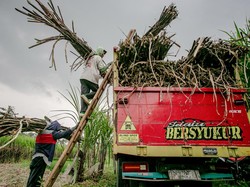 Kementan: Siapapun Boleh Investasi Gula, Lahan-Perizinan Kami Siapkan!