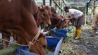 Bolehkah Bayar Dam Haji di Indonesia? Ini Penjelasannya