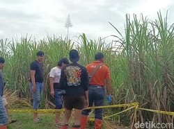 Polisi Cari Bukti Pendukung Dugaan Pembunuhan Santi di Lahan Tebu