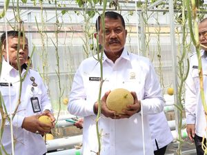 Kala Melon Inthanon Tumbuh Subur di Lapas Sukamiskin