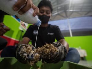 Pemuda di Palembang Olah Eceng Gondok Jadi Produk Bernilai Ekonomi