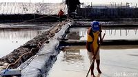 Potret Petani Garam di Probolinggo saat Harga Naik
