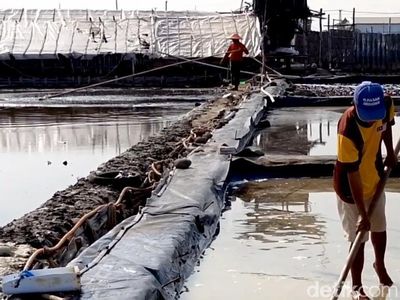 Potret Petani Garam di Probolinggo saat Harga Naik