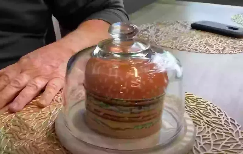 Pria Ini Eksperimen Simpan Burger Selama 20 Tahun Lebih, Hasilnya Mengejutkan!