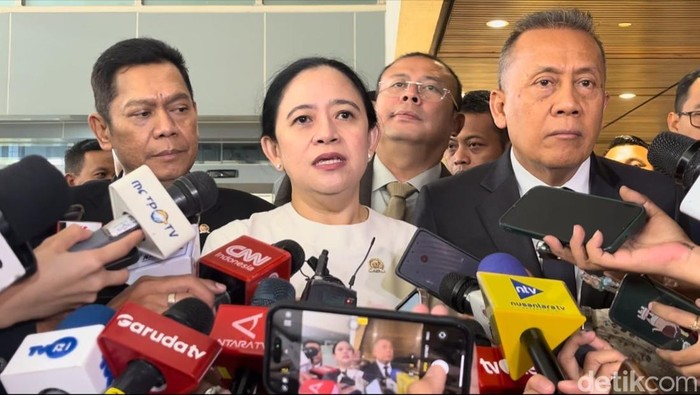 Puan Maharani. (Anggi Muliawati/detikcom).