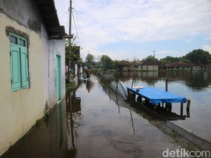 120 Ha Tambak di Tunggulsari Pati Terdampak Rob, Petambak Rugi Miliaran 120 Ha Tambak di Tunggulsari Pati Terdampak Rob, Petambak Rugi Miliaran