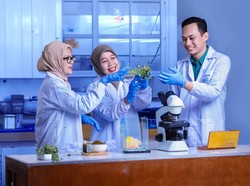 UAD Jadi Penerima Hibah Penelitian Terbanyak Kemendikti Saintek 2025