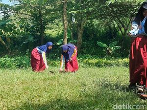 Momen Tak Terlupakan Shaffa Mengenal Tanaman-Permainan Tradisional Momen Tak Terlupakan Shaffa Mengenal Tanaman-Permainan Tradisional