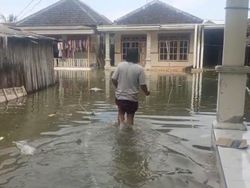 3 Pulau di Sumenep Terendam Banjir Rob, Aktivitas Warga Lumpuh