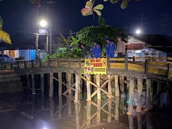 Buaya Muncul di Sungai Jafri Zam-zam Banjarmasin, Ini Imbauan untuk Warga