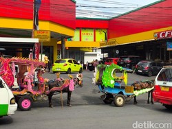 Delman Menuju Jurang Kepunahan Akibat Tergerus Zaman