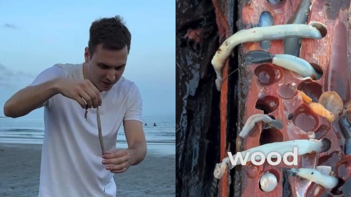 Ini Reaksi Orang Jerman Makan Tembiluk Pertama Kali