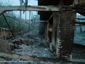 Kandang Ayam di Kudus Ludes Terbakar, Anak Pemilik Luka Bakar Kandang Ayam di Kudus Ludes Terbakar, Anak Pemilik Luka Bakar