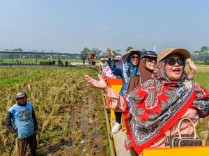 Kereta Sawah Kiangroke, Wisata Murah Bernuansa Alam