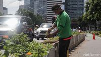 Menengok Perawatan Tanaman di Jalur Sepeda Sudirman