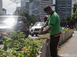 Menengok Perawatan Tanaman di Jalur Sepeda Sudirman