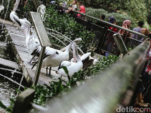 Menikmati Long Weekend di Taman Margasatwa Ragunan