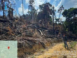Polisi Tangkap 3 Pembakar 10 Hektare Lahan di Area HPT Rokan Hulu Riau Polisi Tangkap 3 Pembakar 10 Hektare Lahan di Area HPT Rokan Hulu Riau