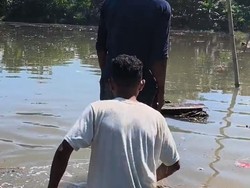Gelombang Tinggi yang Terjang Manggarai Bikin Rumah Rusak-Sawah Terendam