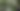 Ragunan di libur panjang dipenuhi oleh wisatawan. (Devi Puspitasari/detikcom)