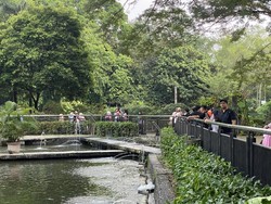 Cerita Warga Pilih Ragunan di Libur Panjang: Bosan Suasana Kafe