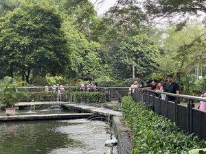 Cerita Warga Pilih Ragunan di Libur Panjang: Bosan Suasana Kafe Cerita Warga Pilih Ragunan di Libur Panjang: Bosan Suasana Kafe