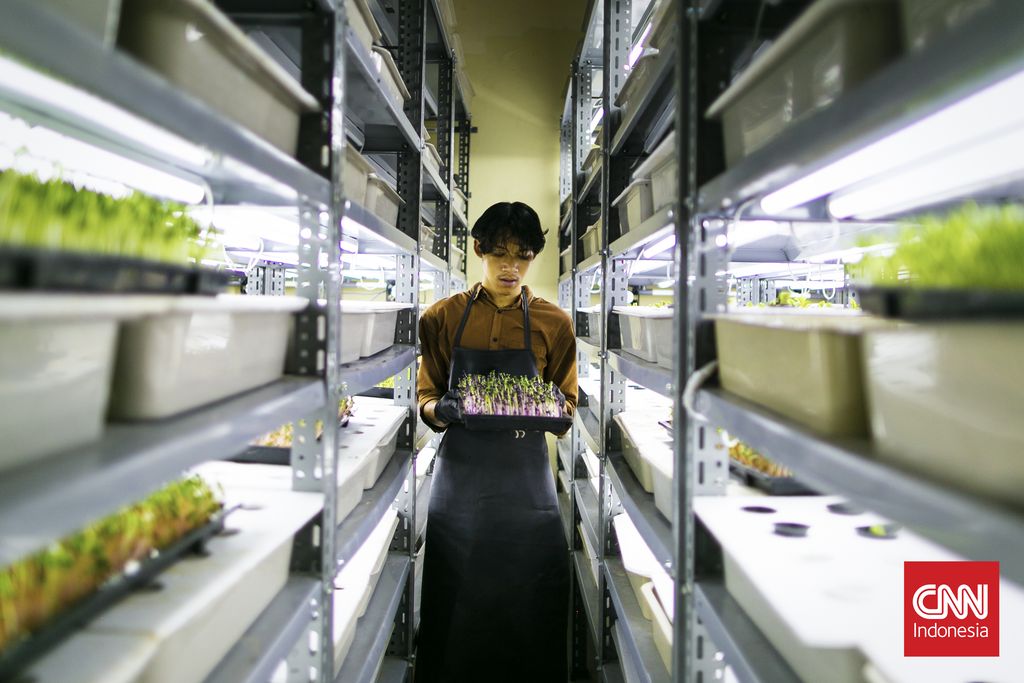 Penjual UMKM sayuran memanfaatkan shopee untuk perluas jangkauan pasar dan meningkatkan omzet, Jakarta, 7 Mei 2025. Transformasi digital telah menjadi salah satu pilar penting dalam perkembangan UMKM di Indonesia. Dengan menggunakanplatform e-commerce UMKM dapat menjangkau konsumen lebih luas tanpa batasan geografis.