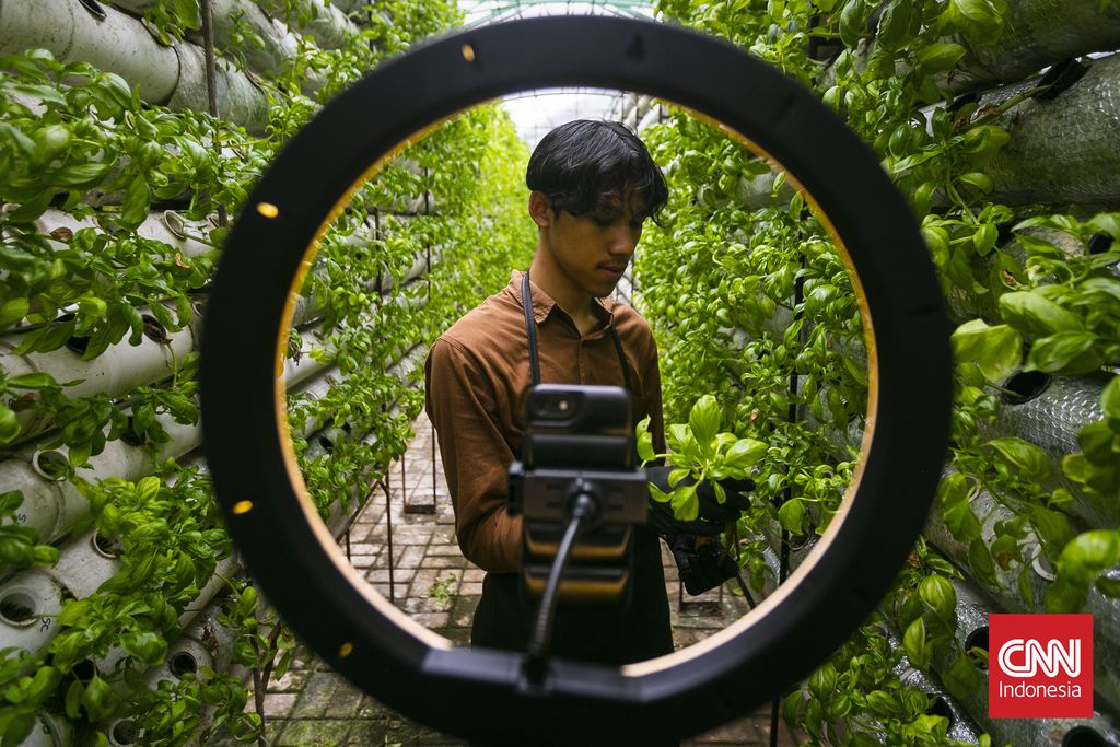 Penjual UMKM sayuran memanfaatkan shopee untuk perluas jangkauan pasar dan meningkatkan omzet, Jakarta, 7 Mei 2025. Transformasi digital telah menjadi salah satu pilar penting dalam perkembangan UMKM di Indonesia. Dengan menggunakanplatform e-commerce UMKM dapat menjangkau konsumen lebih luas tanpa batasan geografis.